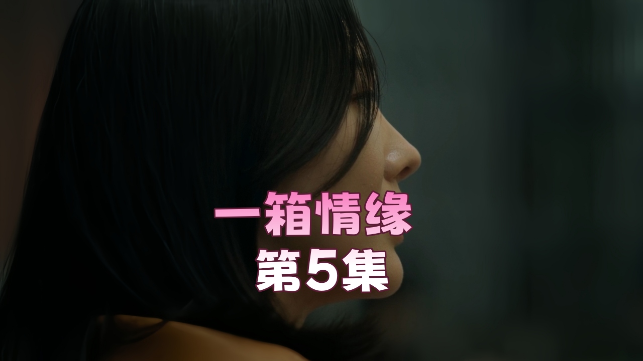 一箱情缘 第5集